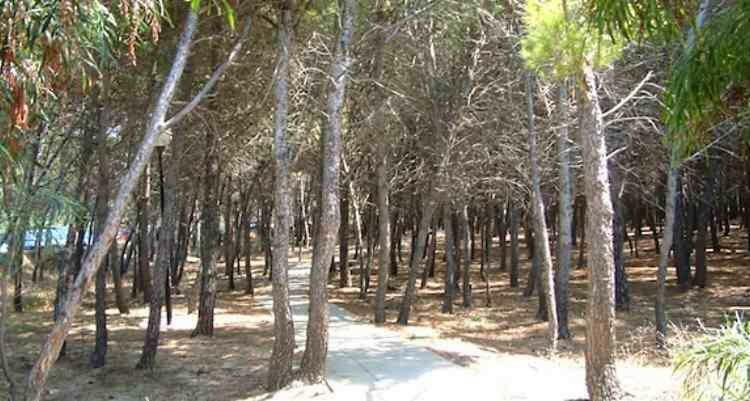 Villetta Aurora Villaggio Porto Ada A 2 Passi Dal Mare 피조 외부 사진